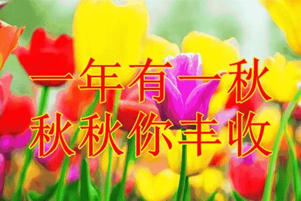 抽中吉签望丰收，这感觉就像生活突然给了你一颗糖。我之前去寺庙游玩，心血来潮抽了一