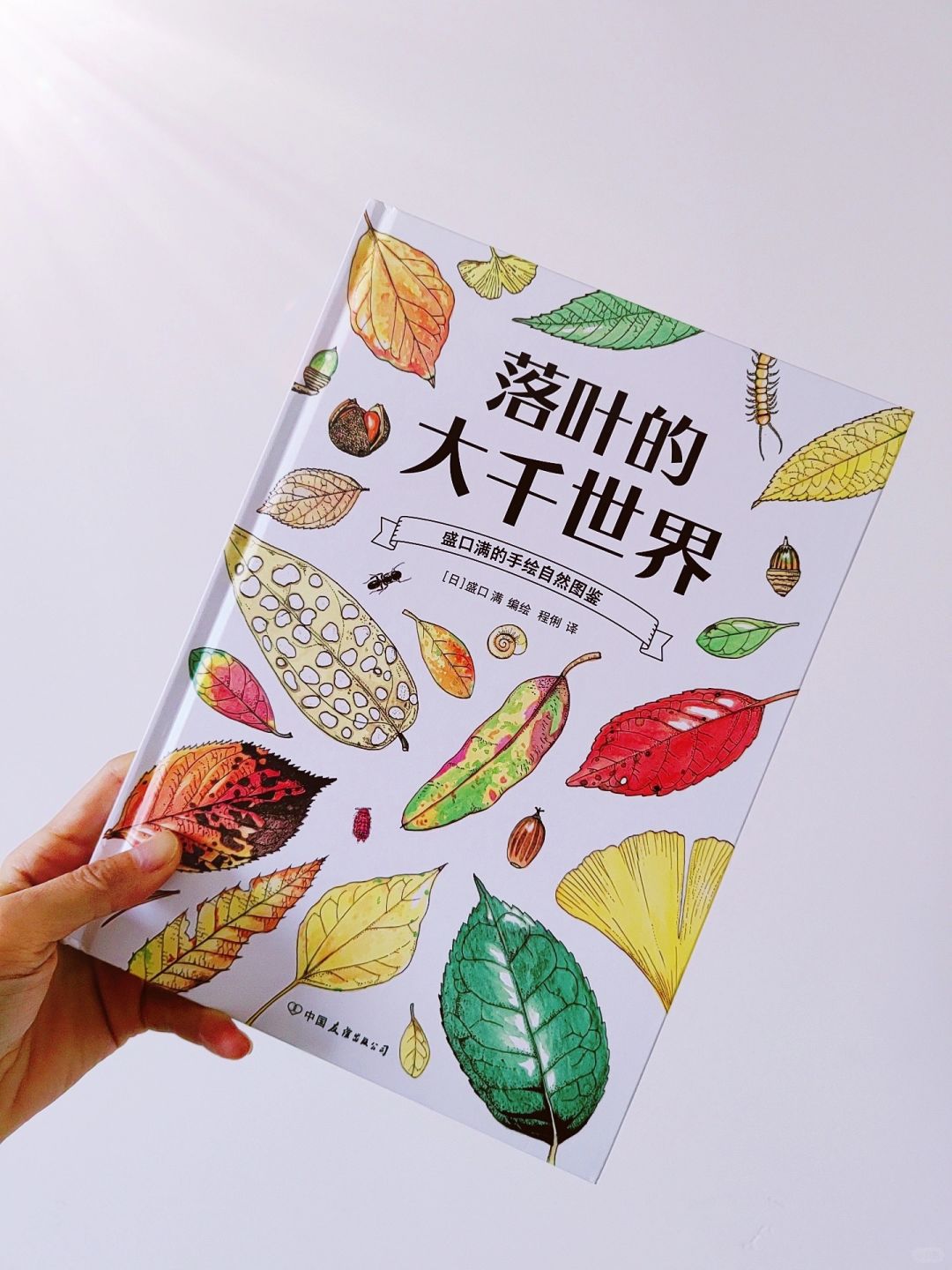 捡秋|绝美！那些年我捡过的果子和落叶