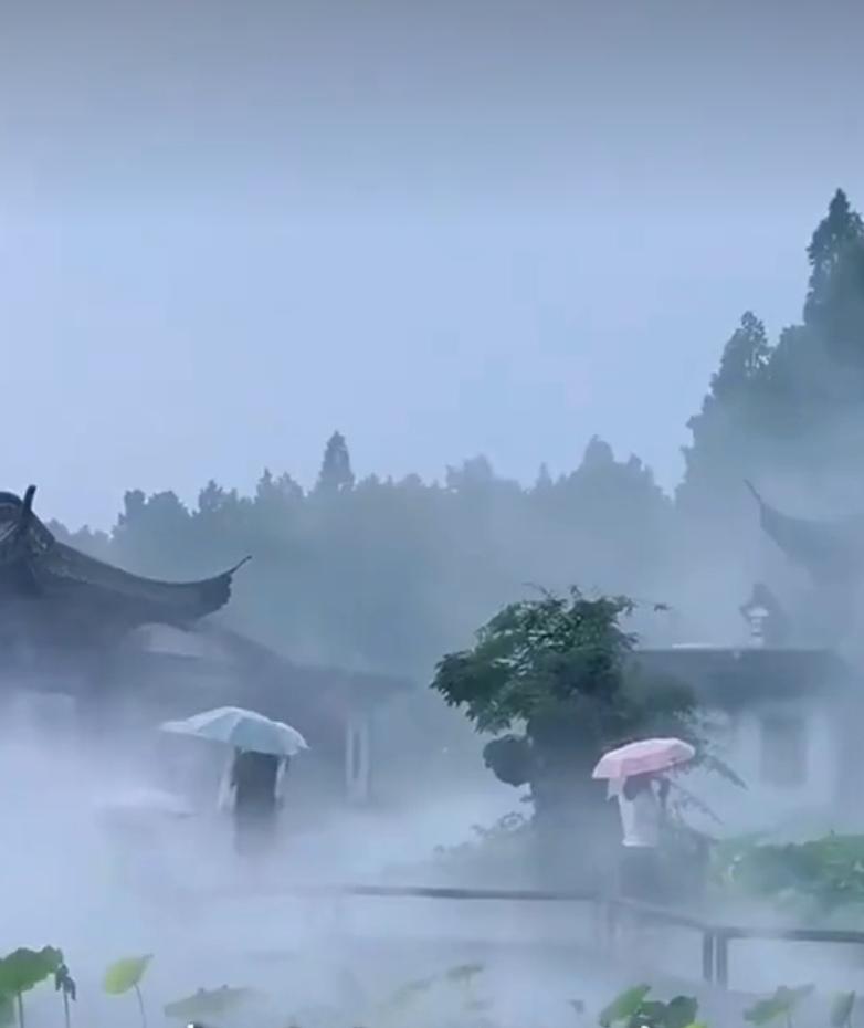 在淡淡的歲月里，
相守友情的溫暖，
在匆匆的時光中，
沉淀難忘的情意，
清晨不變