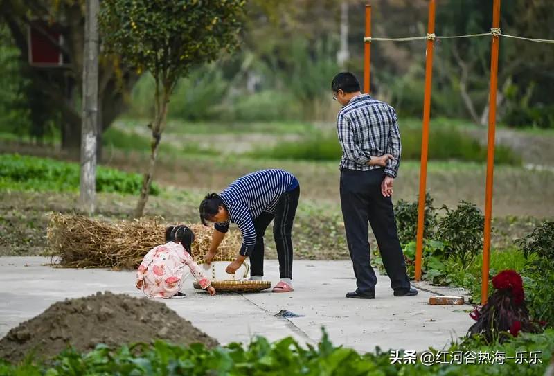 现在国内压力最大的，还是农村出来的年轻人。

假设这个农村父母，是非常省，非常省