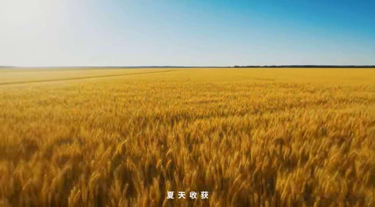 很多产粮县城逃不开“只产粮、不增收”困境，隆尧靠本土企业打破死循环，依托今麦郎本