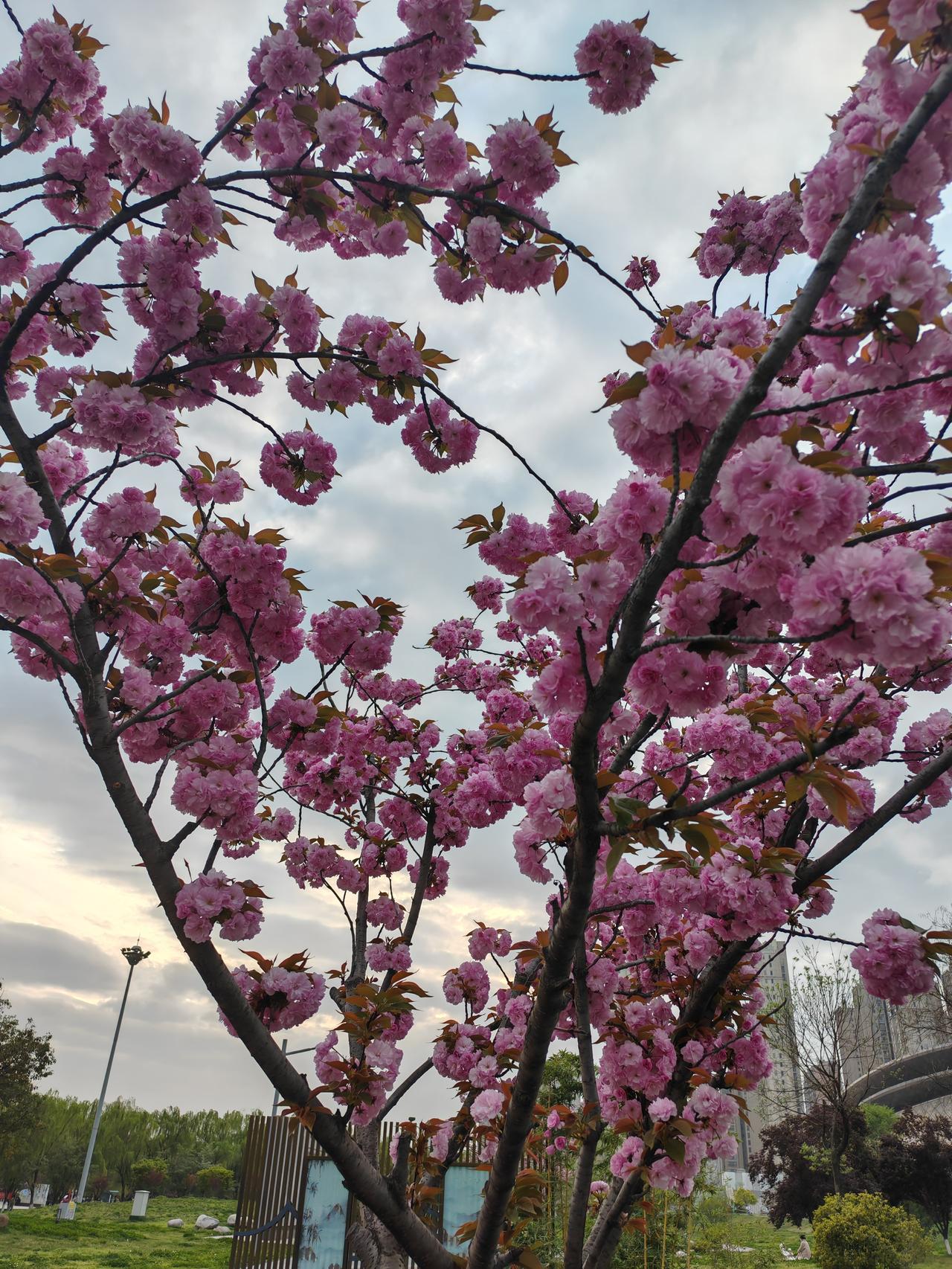 不管在哪个行业上班，都要努力钻研，好好学习，天天向上，业务能力是人的实力。

住