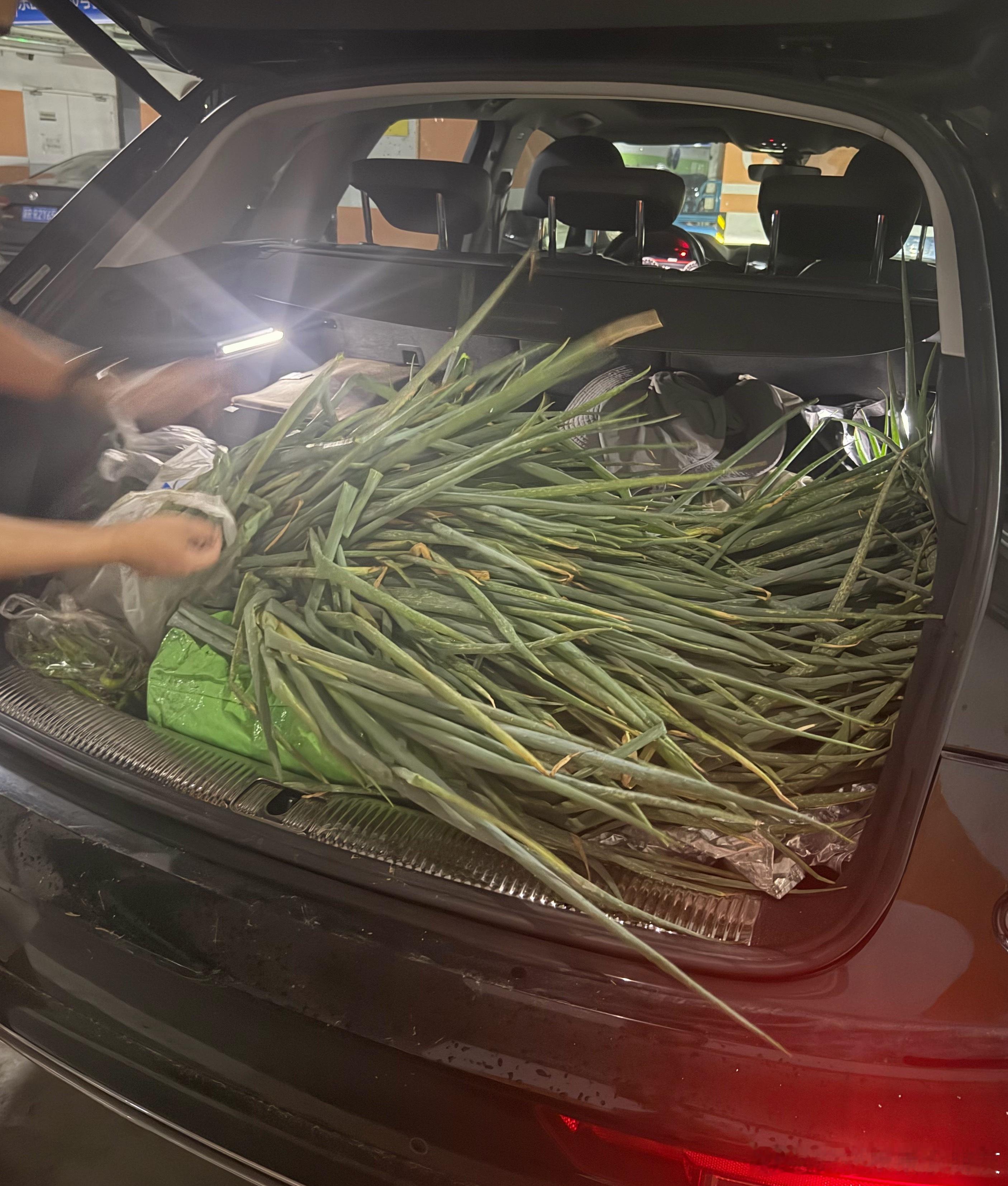 我姨给了一后备箱的葱正好我想做葱油饼~~在邯郸的时候吃了一顿胡辣汤和葱油饼，我看