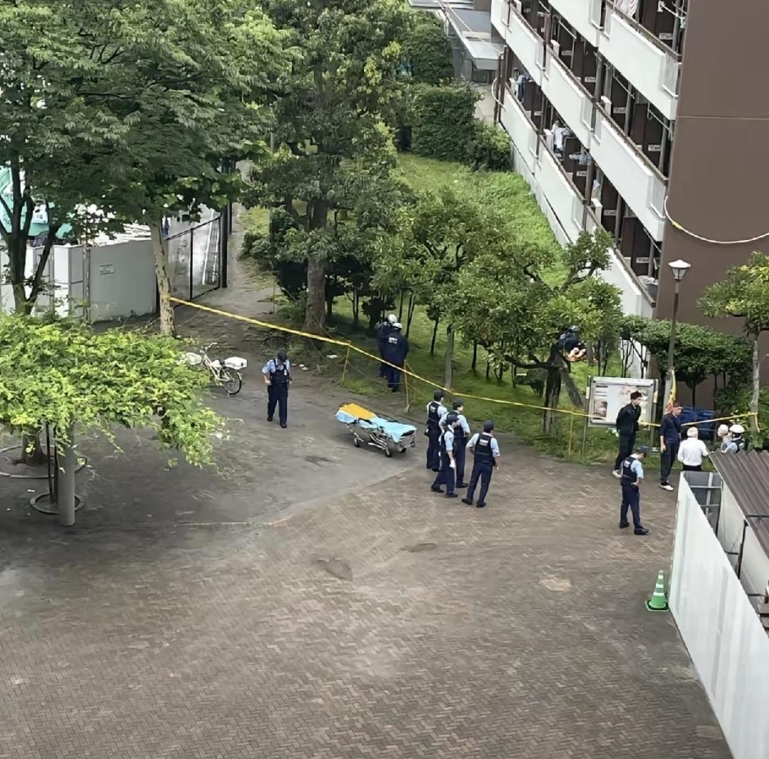 昨天晚上隔壁家十六岁女儿从十楼跳了下去。不是车祸也不是急病，遗书里写得明明白白。