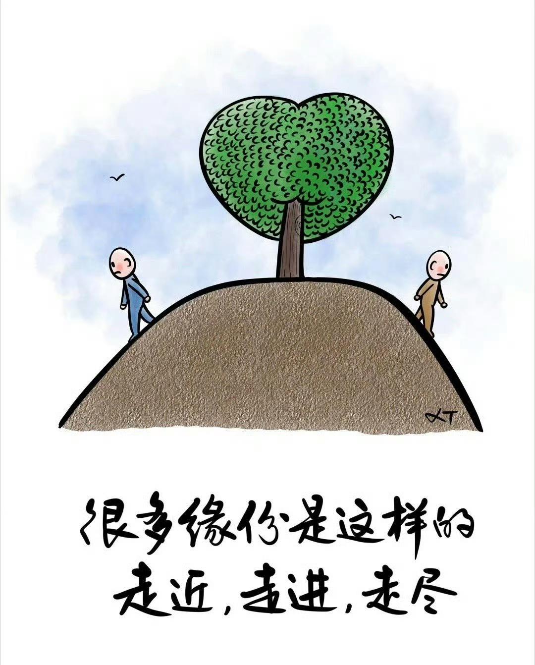 今天听说一件事，心里挺不是滋味。

前几年，一位认识的姐姐癌症走了，才五十出头。