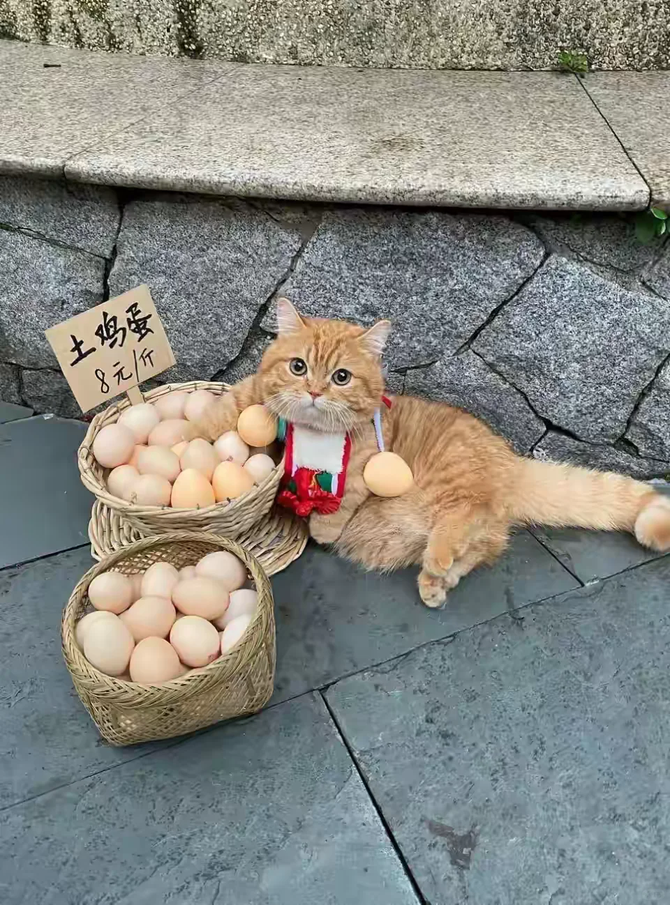 一个人成熟的标志是，拥有高级防御。 拥有低级防御的人，给人直观的感受就...