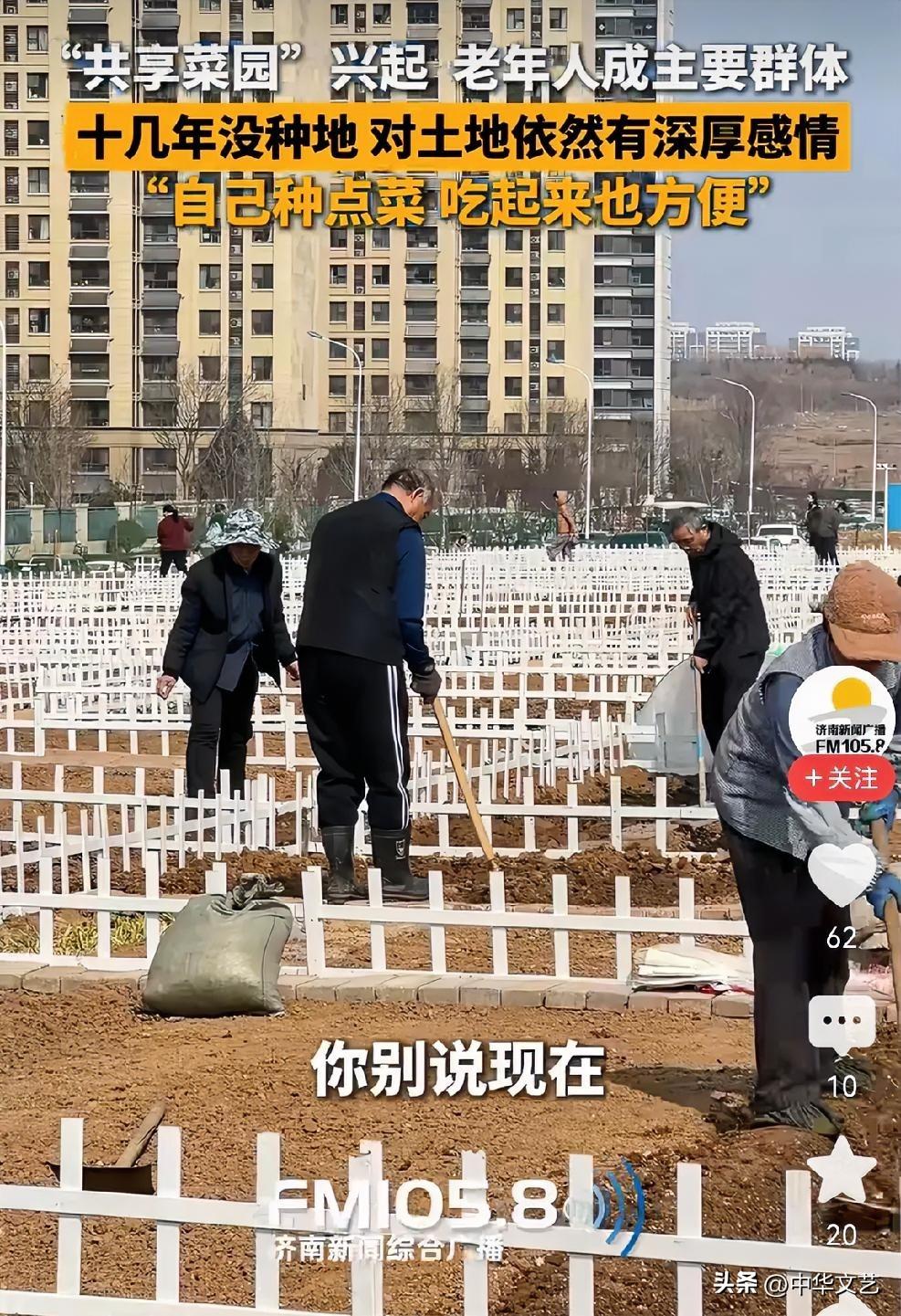 从共享单车、共享（拼车）汽车、再到济南的“共享菜园”，这是活脱脱的“抱团取暖”的