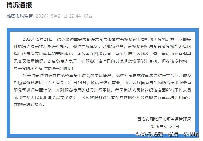 离谱！西安网红餐厅竟让狗上桌舔盘！官方通报后，网友炸锅：这饭谁还敢吃？ 
 
西