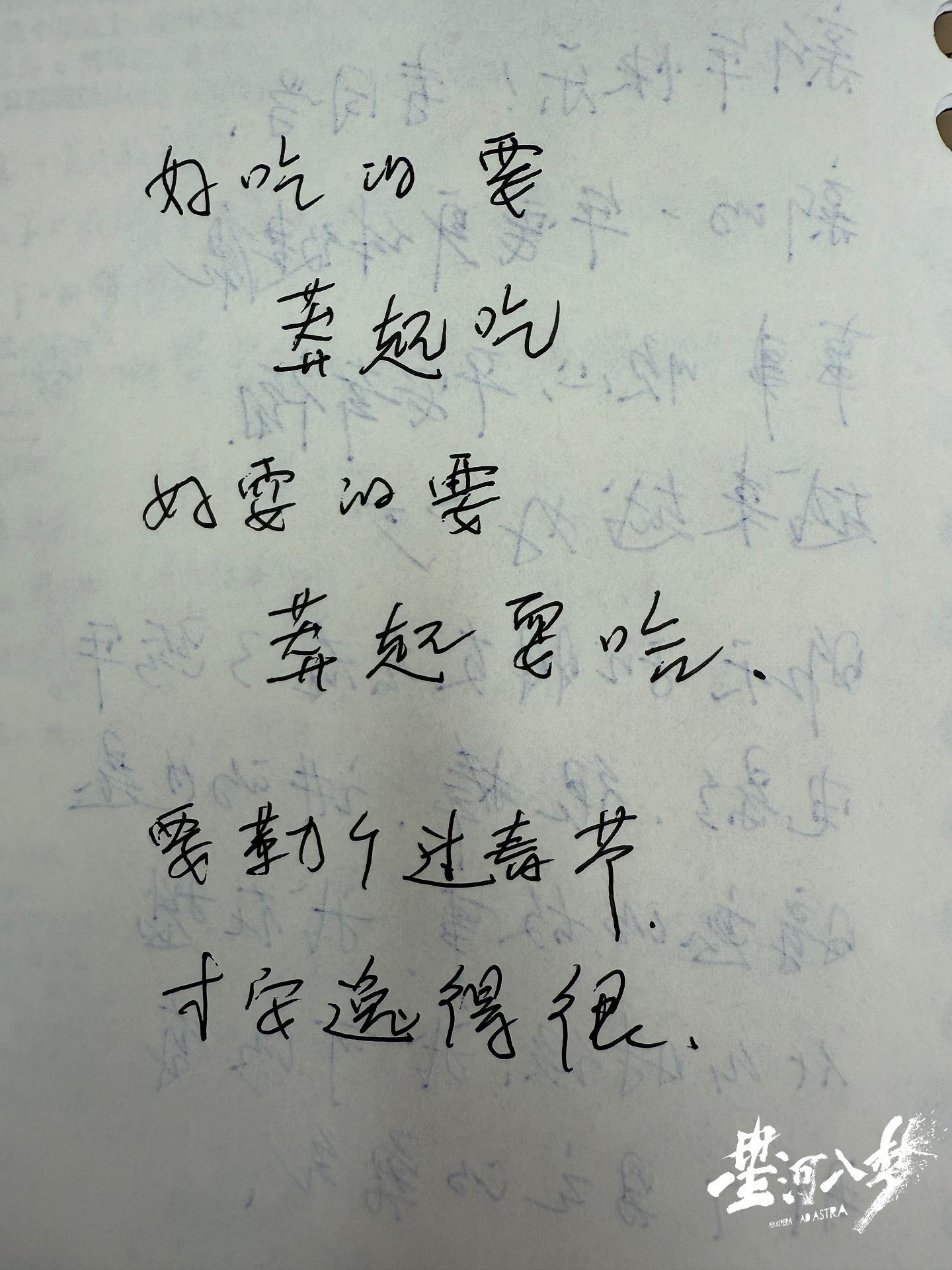 这会不会是最后一页彪彪日记🥹王鹤棣星河入梦