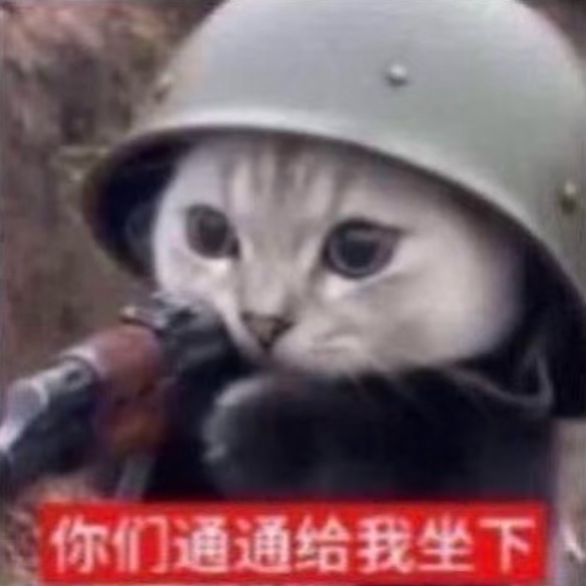 等老子买到新号天天查粉丝列表 不认识的通通移除拉黑 这个号随便你们视奸 我不发有