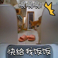 母女两一个样 老是戏弄喂食器 