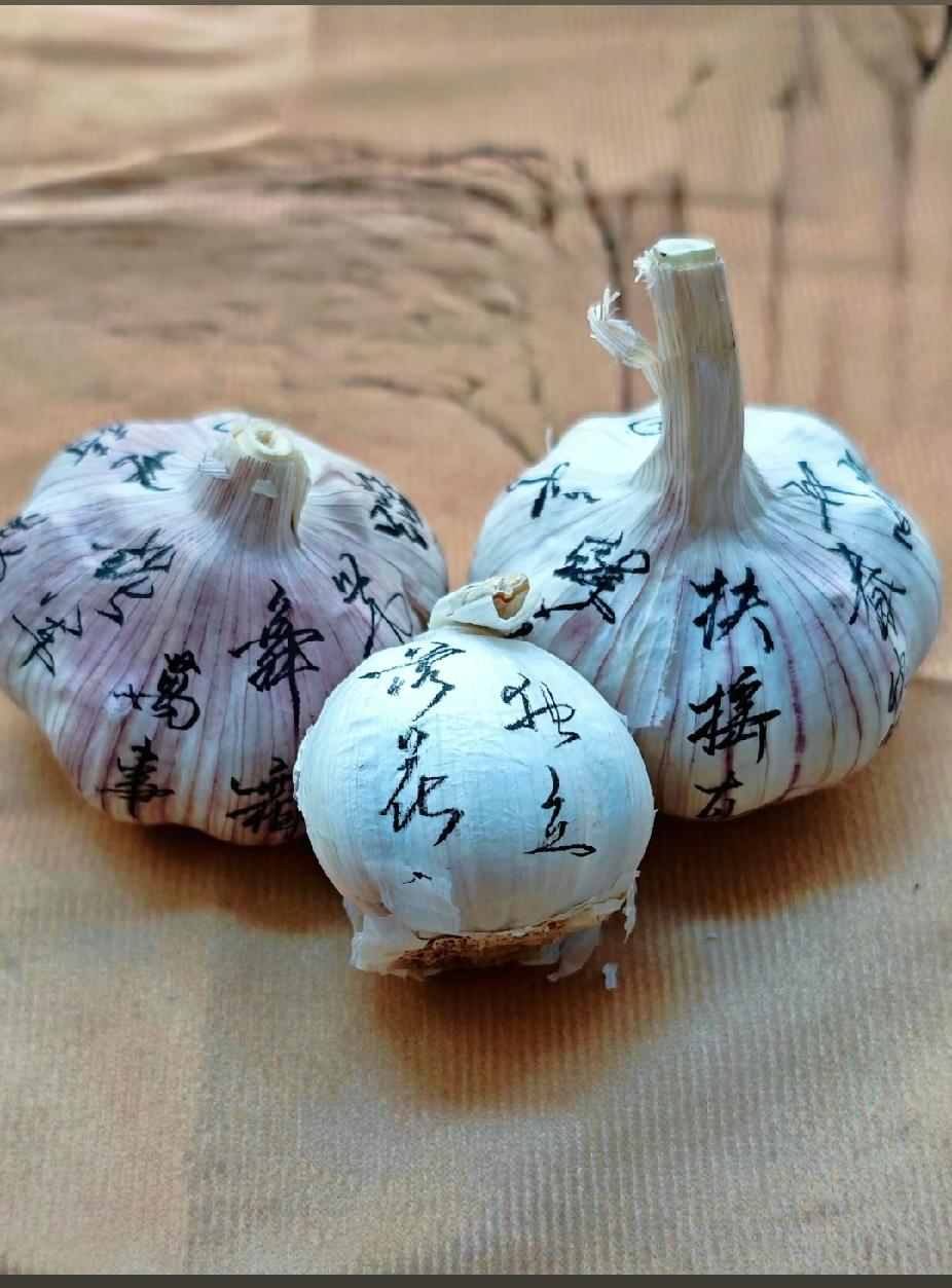 昨天和好友聊天，他说最近感觉好累，我说，人生苦短，要及时行乐，每个人都该有一个小