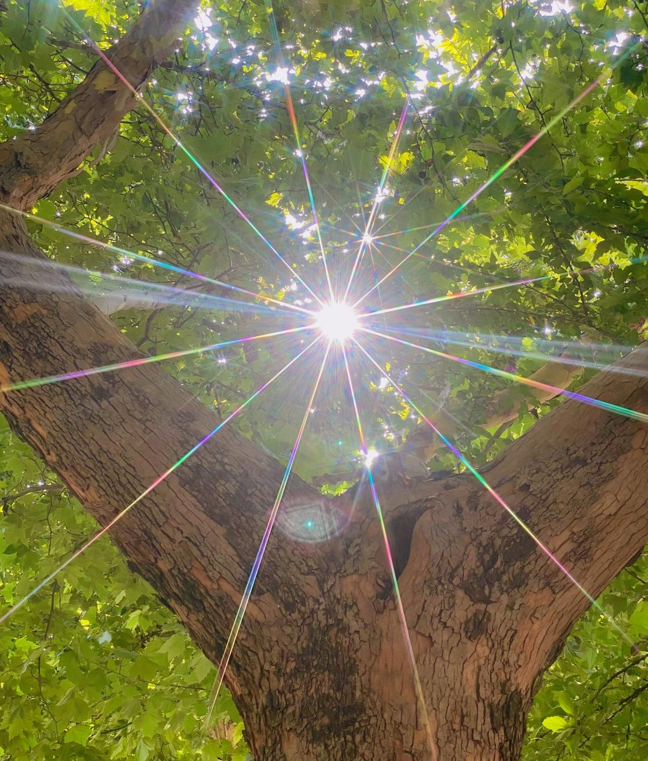 刘震云：）
你才是主角，人活着就一条路，就是必须成为一个强者活着，就是到哪儿都让