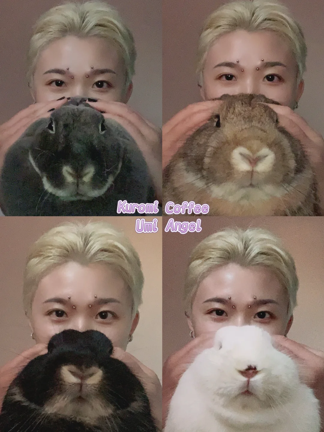 🐰🐰陪我拍生日照的兔兔们9.1✨