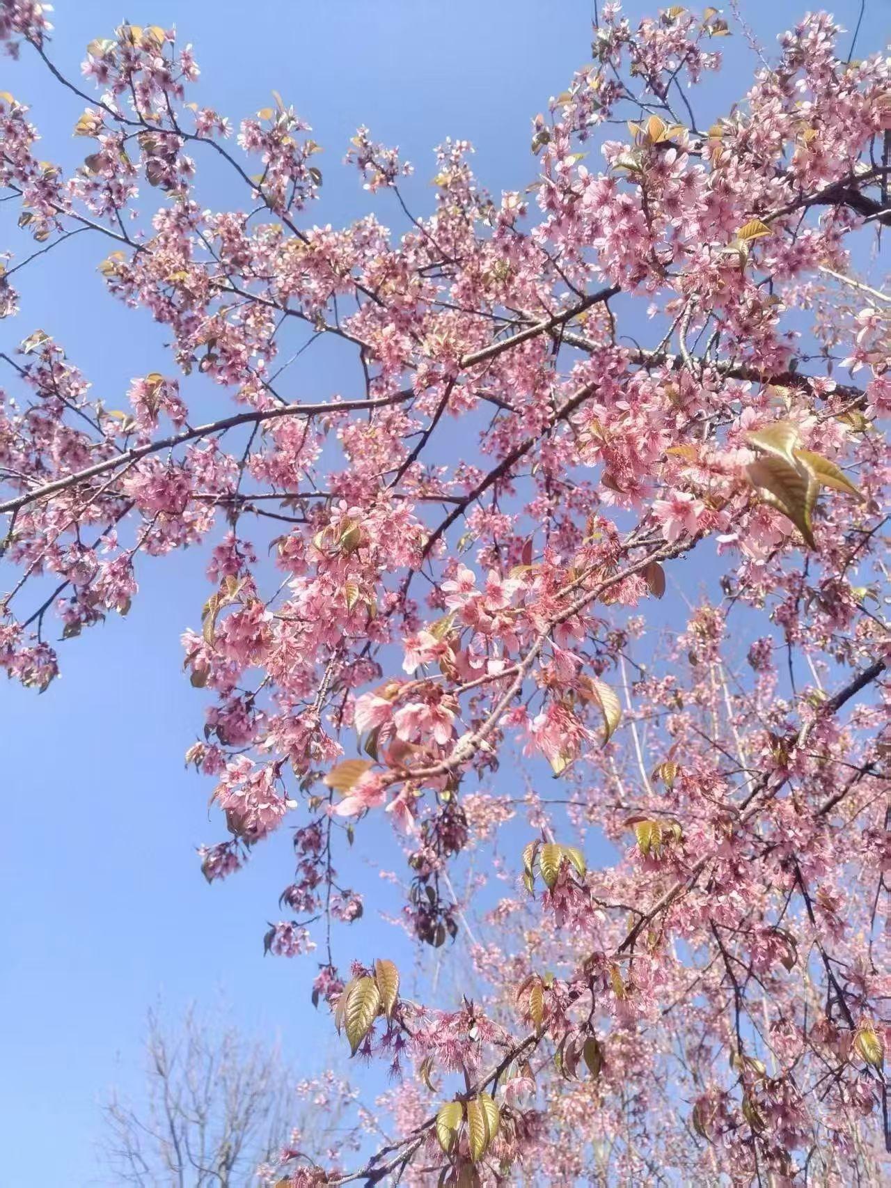 一段很温暖的话：风是免费的，月光也是，不要总觉得日子难熬，希望你能发现藏在琐碎里
