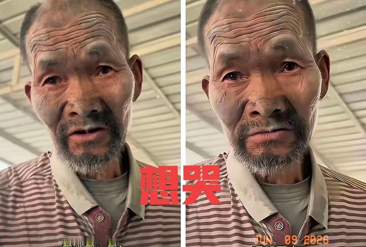 水泥厂老板进局子了，
水泥老人找到了家，
一切都回到了正轨，但是现在最大问题，老