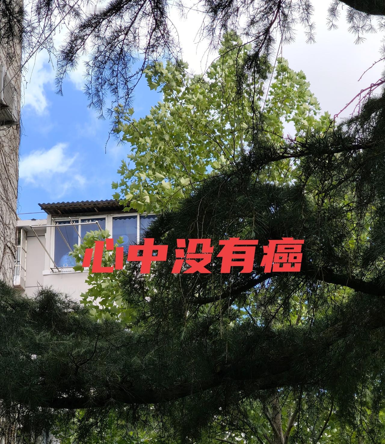 "心中没有癌"。
我不需要"战"，因为一旦开战，敌人就有了名字，恐惧就有了形状。