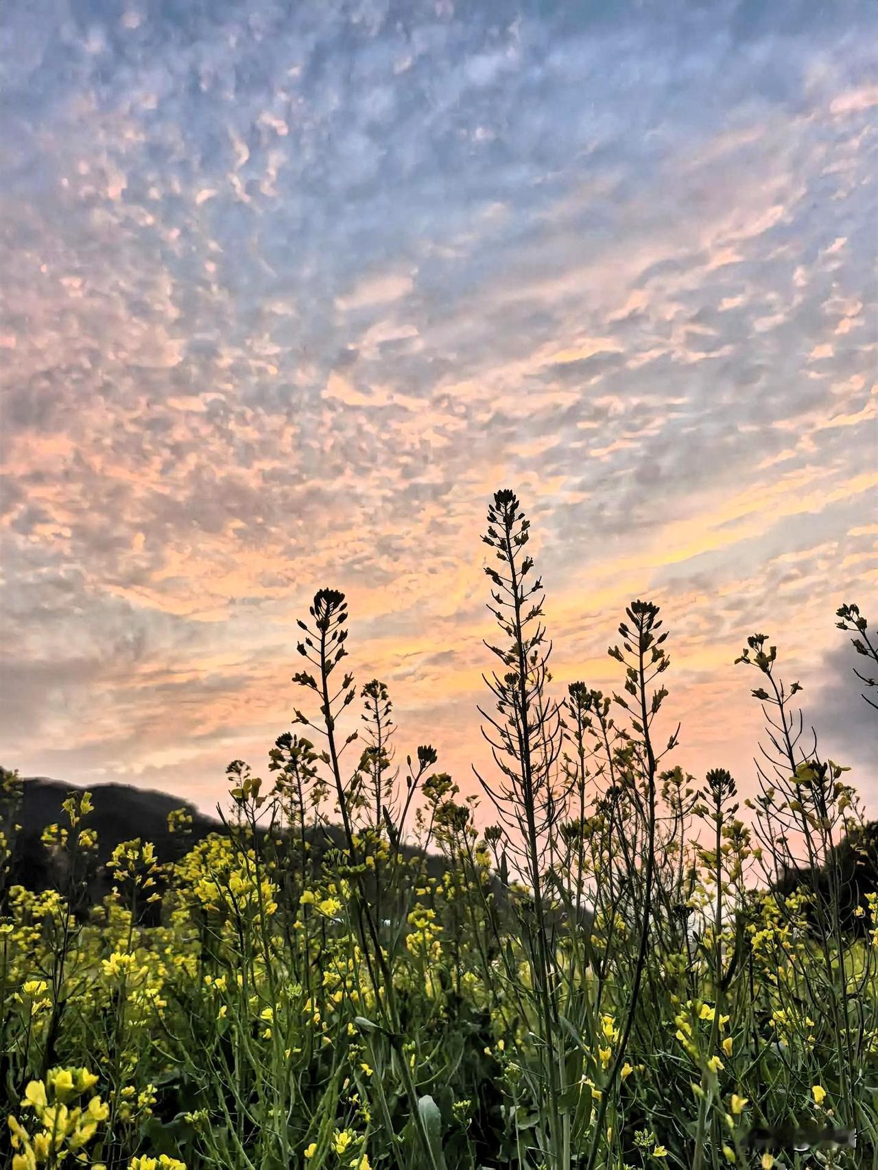 人过六十，别跟自己较劲。
人过六十，如同入秋——这话一点不假。
不然，为什么到了
