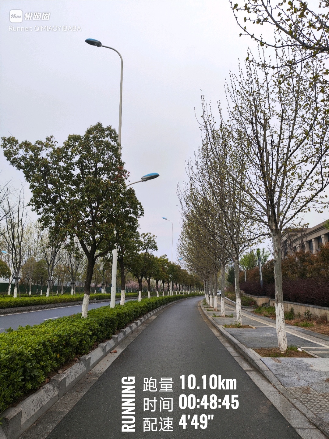 同学们早ﾉ☀梧桐的嫩叶在桃花开始落的时候才能让人看到