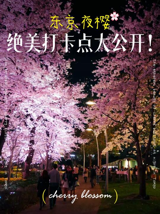 🌸东京夜樱绝美打卡点大公开！🌸