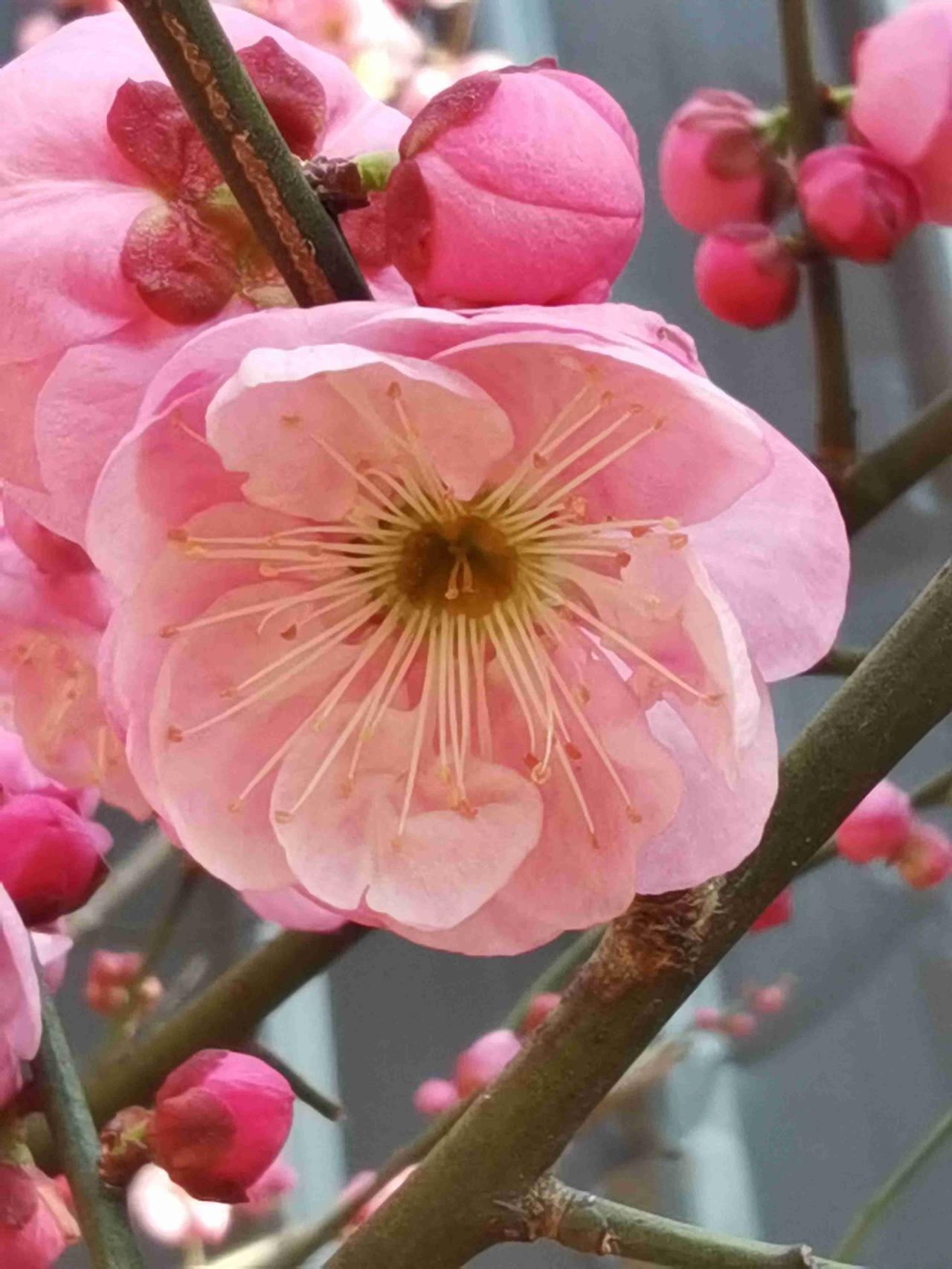 我的今日状态：💰期待暴富
我这里的天气：小雨转阴天
腊八节为什么要和腊八粥？？