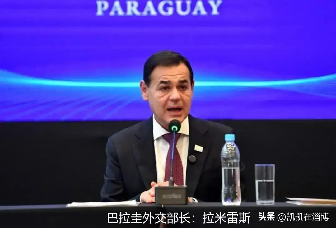 见过不要脸的，还没见过这样不要脸的。点评巴拉圭背长涉台言论。

6月30日，巴拉