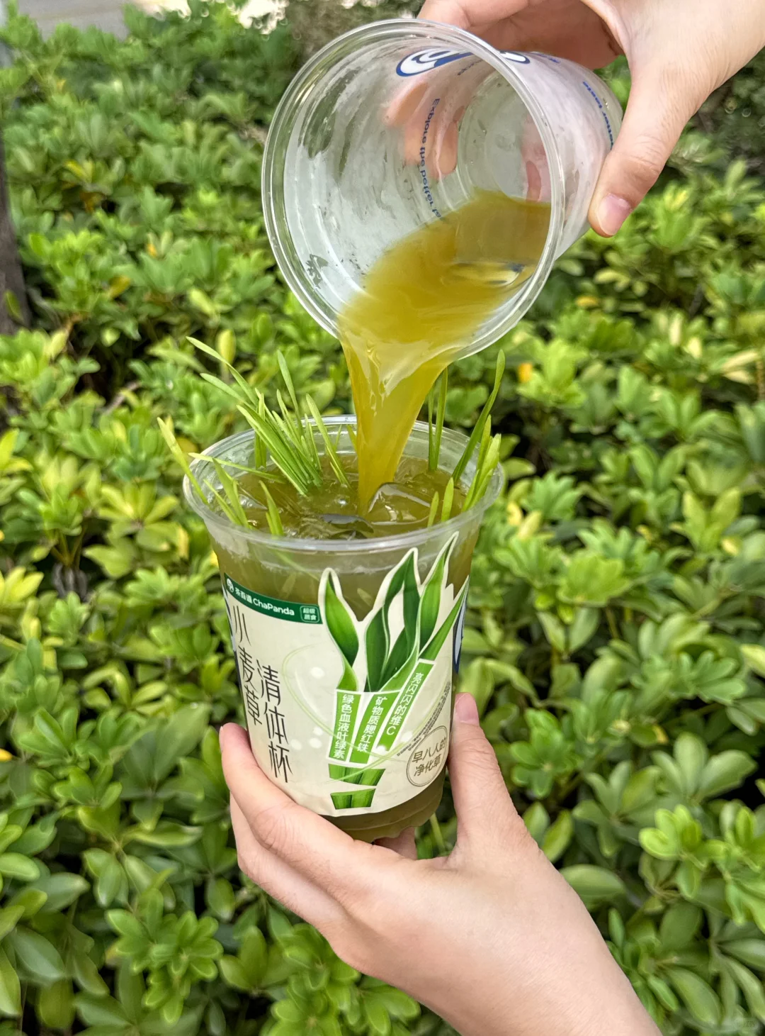 测评|脆皮打工人的3种茶百道蔬果健康水