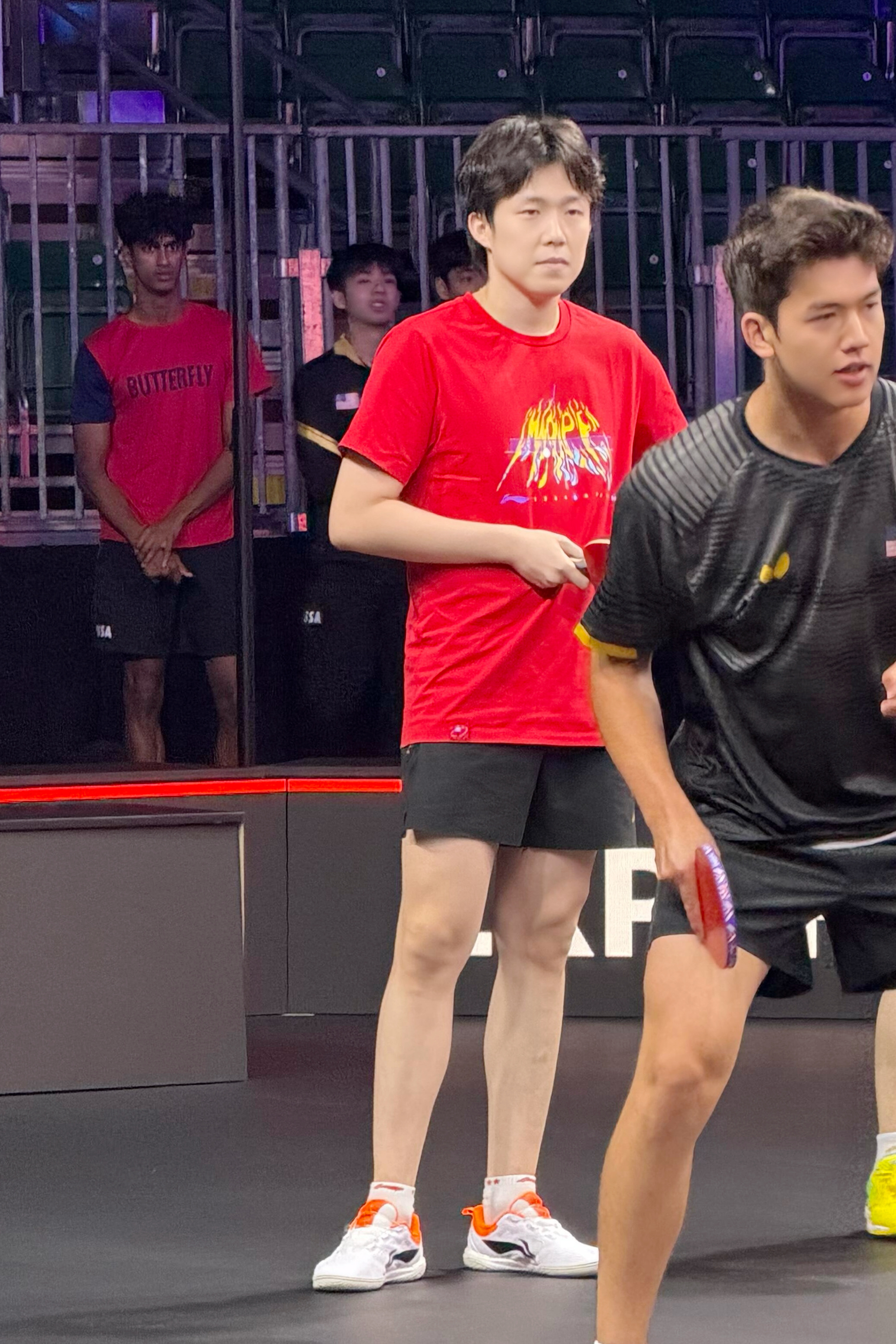 王楚钦 卷毛小狗太萌🥰©️Kingsely 
