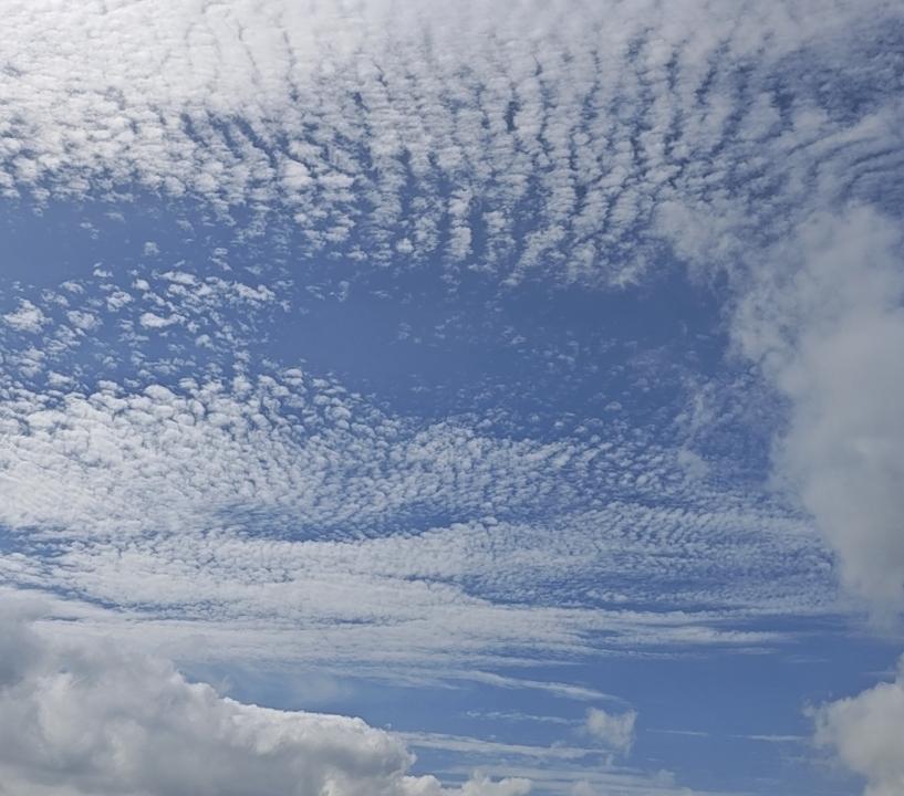 巴威还在路上，我们作好了充足准备，拭目以待。早上的天空有云，但遮不住太阳。太阳说