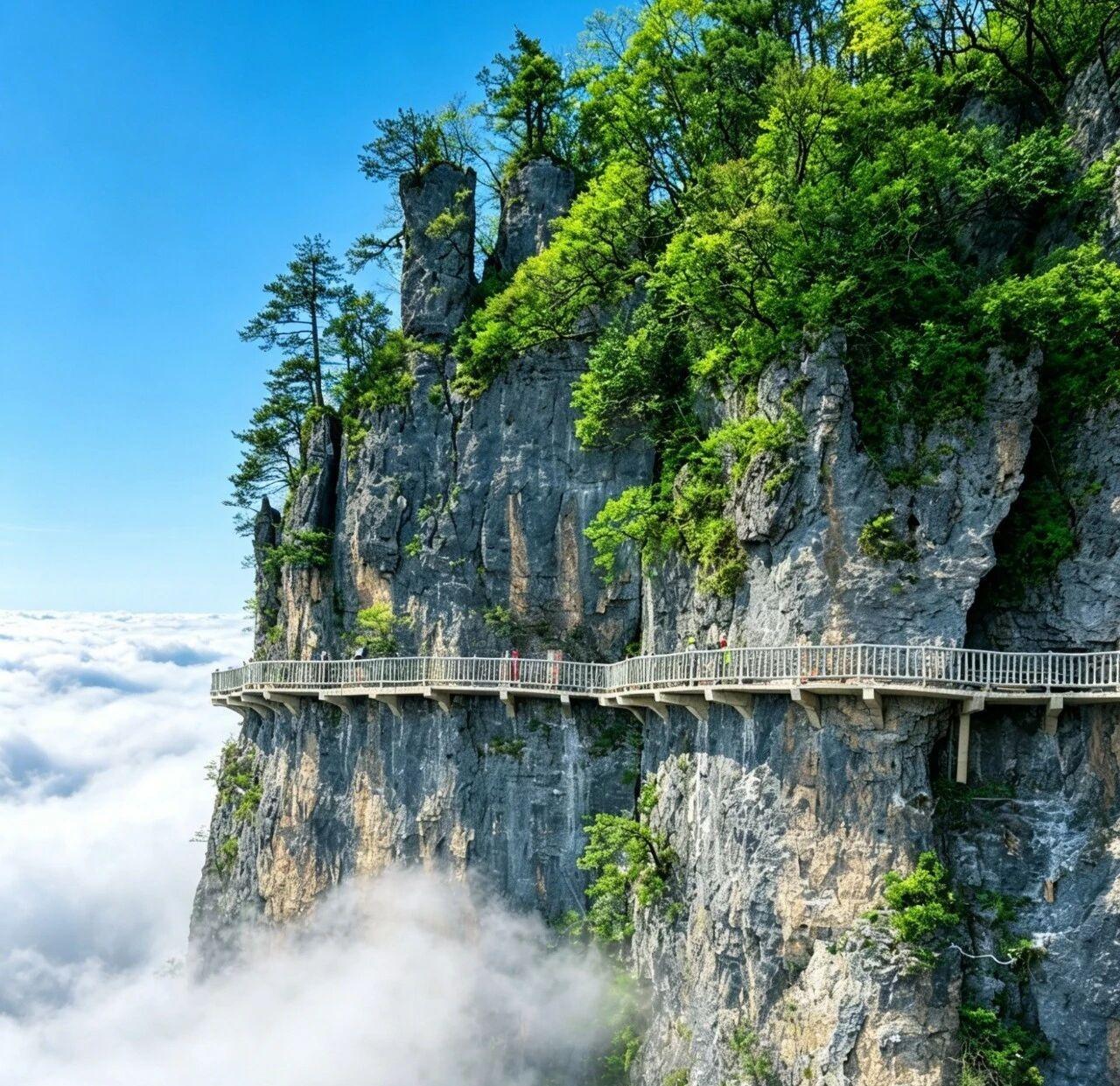 你眼中的巴中，是什么模样？是光雾山的红叶，还是巷子里的烟火？【2025巴中正能量