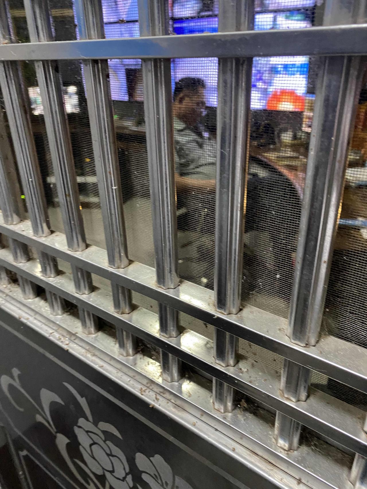 小区有位特别的保安，参加过南疆自卫反击战，大家对他很崇敬，他总是谦虚的说自己参加