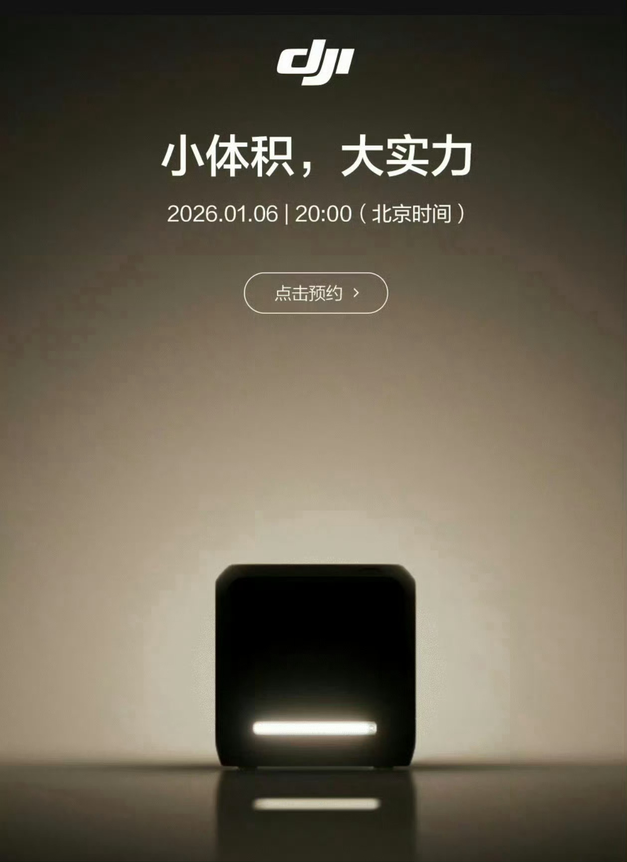 大概率是NAS，我觉得是一个必要的品，可以是大疆产品的数据中枢，不管是现在的商拍