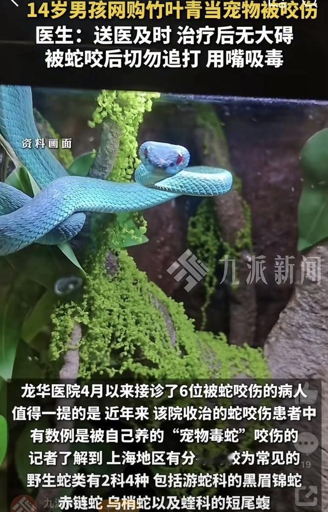 现在不少人养宠物都追求与众不同，觉得养点小众另类的才够特别，可有些看似新奇的宠物