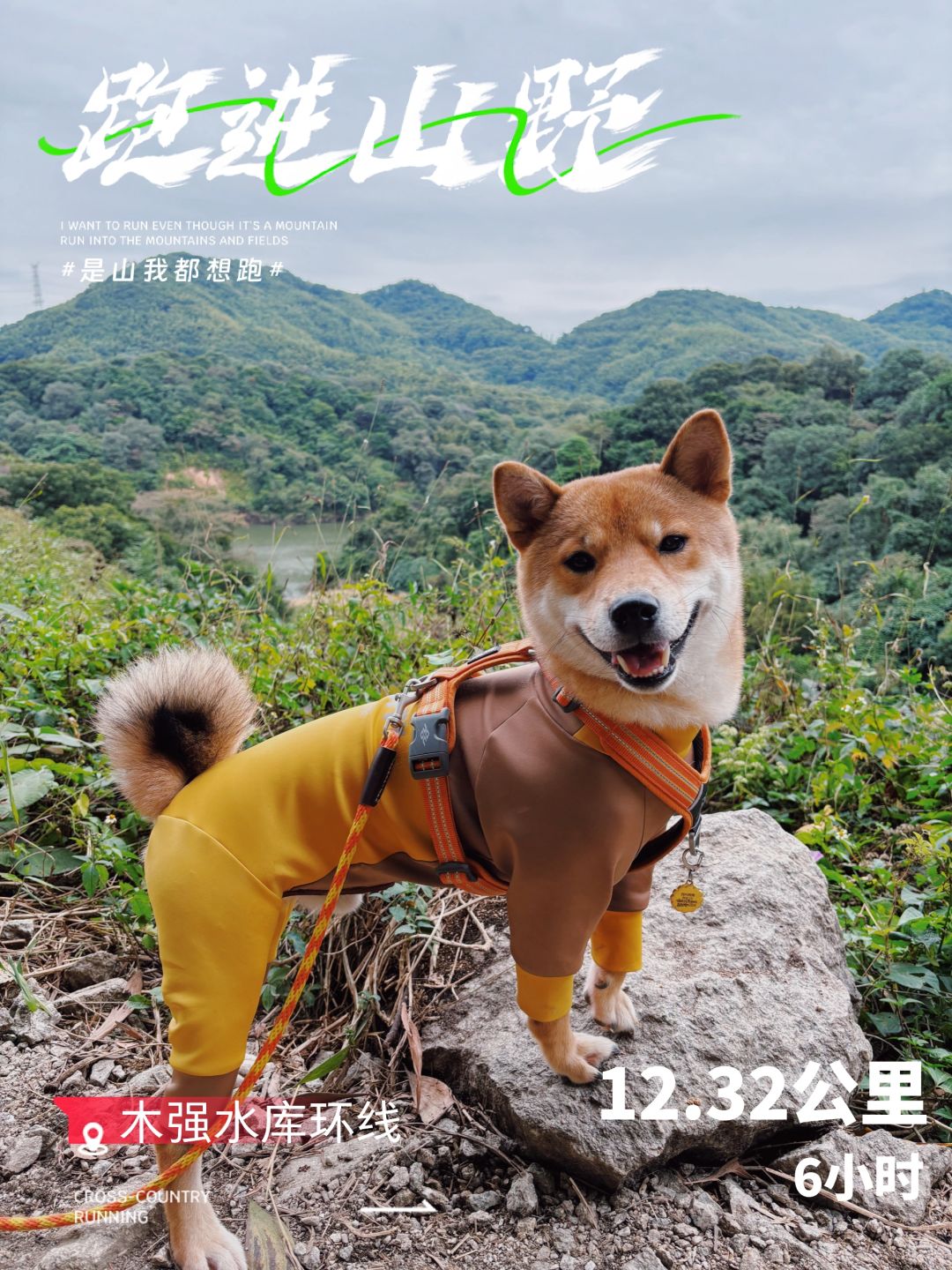 遛狗日记｜今天是累并快乐的徒步