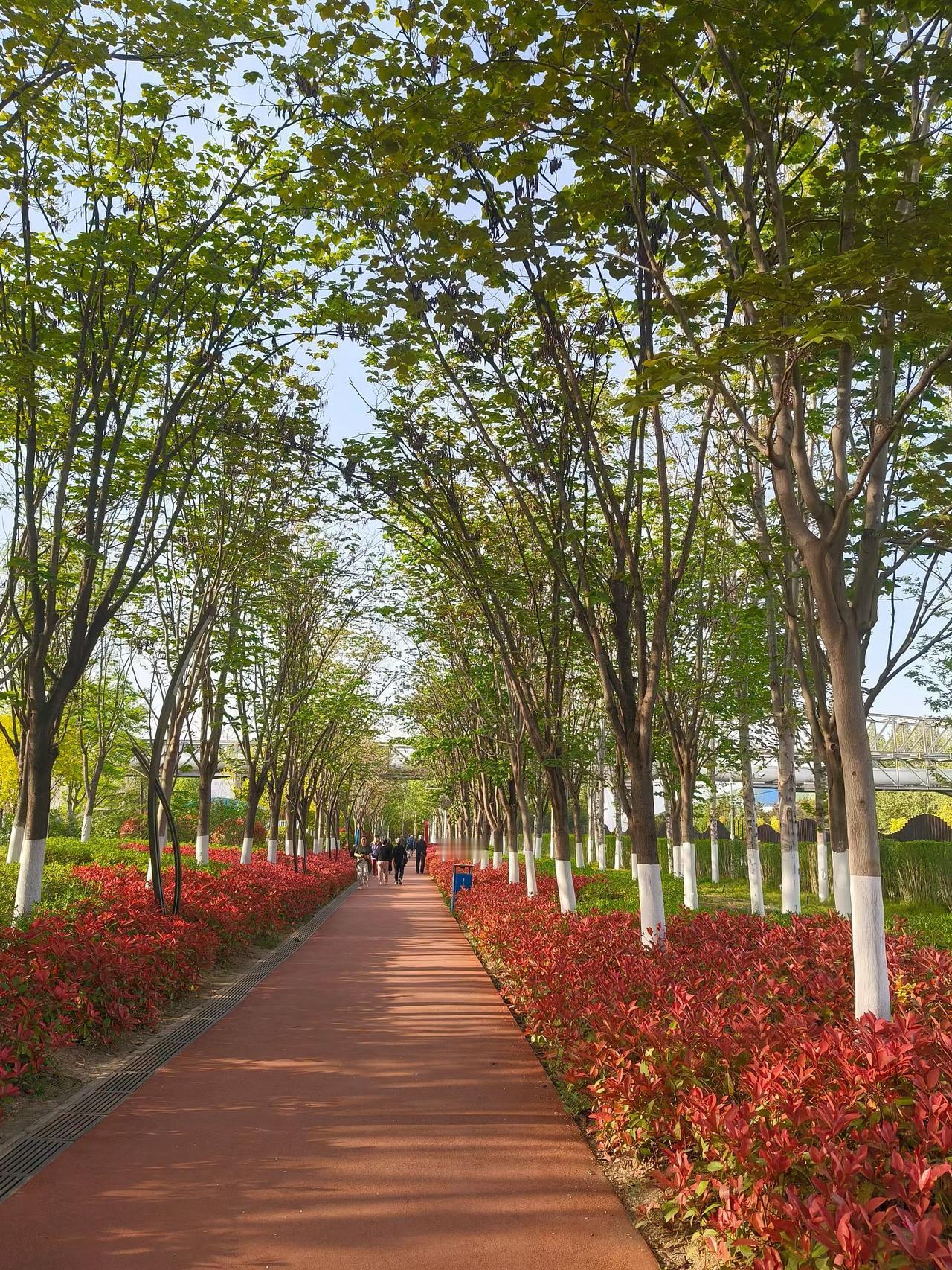 西安幸福林带公园真的是周边居民的福音。它不仅有优美的环境，让大家能在闲暇时光放松