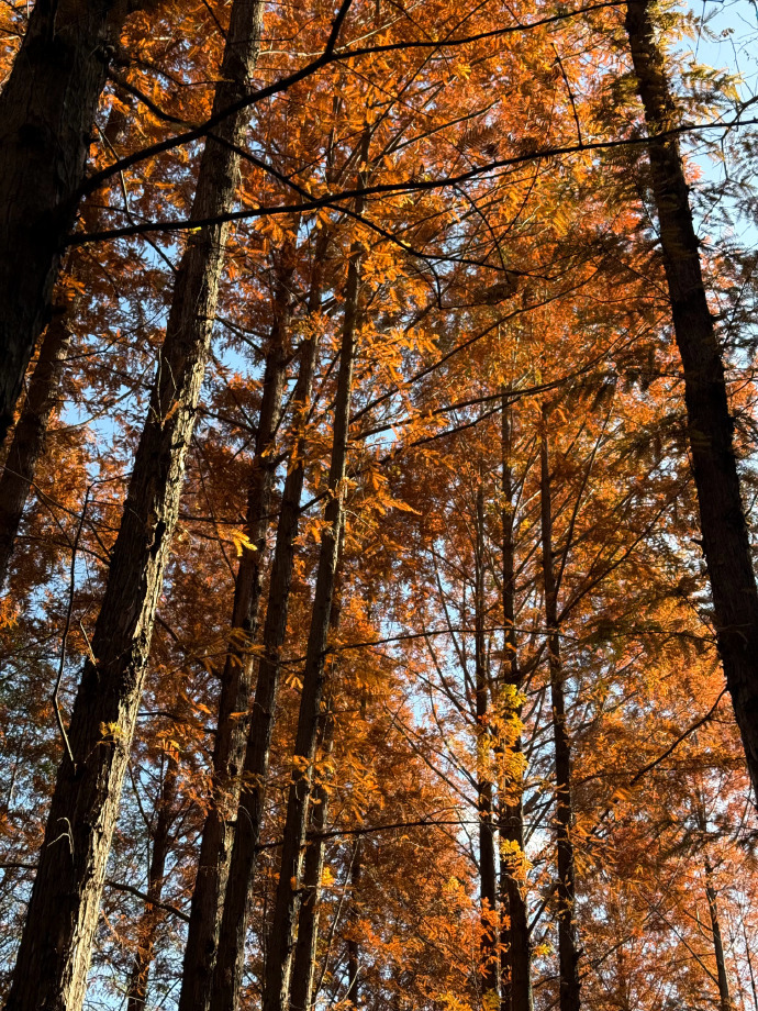 黄杨钿甜更新风波后的首个微博，与大众分享近况。文字朴实态度真诚，展现出稳定状态，