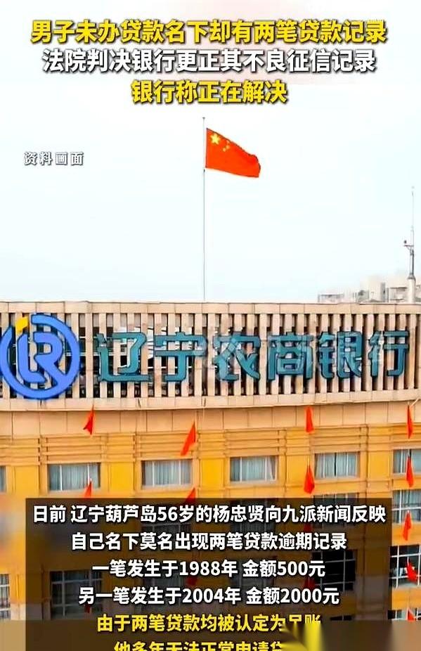 辽宁的老杨，撞上了一件邪门事。
他去查征信，上面凭空冒出来两笔贷款。一笔是198