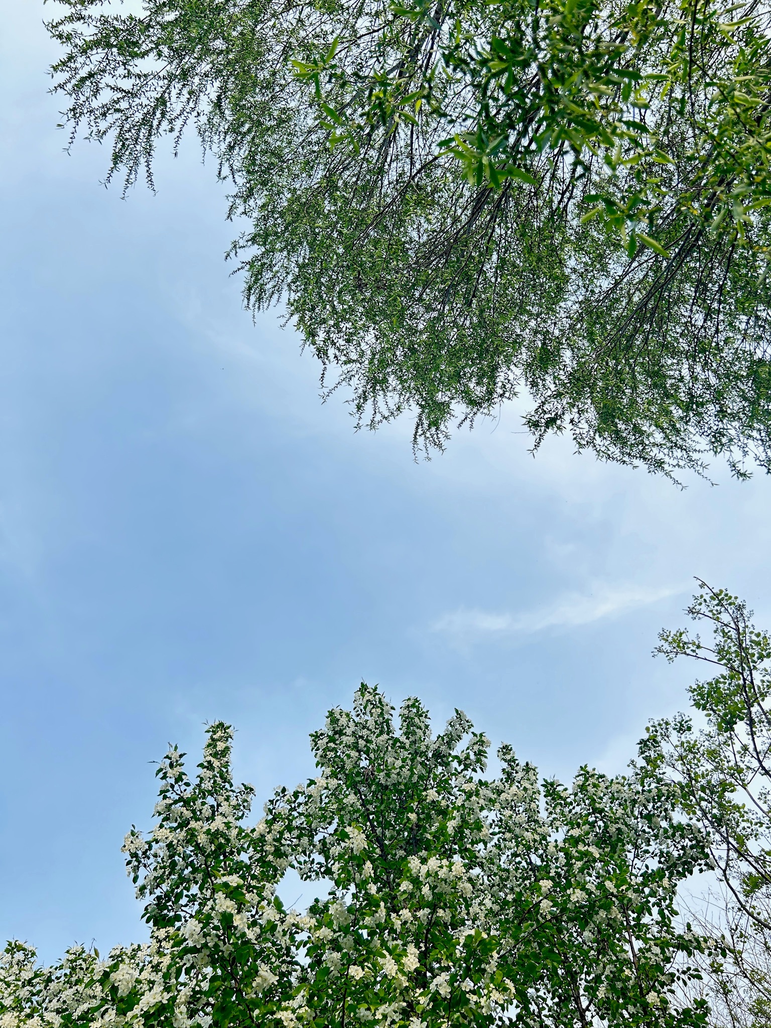 海泊河公园！☀️今天坐地铁突然路过的小公园～最近要被毕业论文榨干阳气了赶紧来吸吸