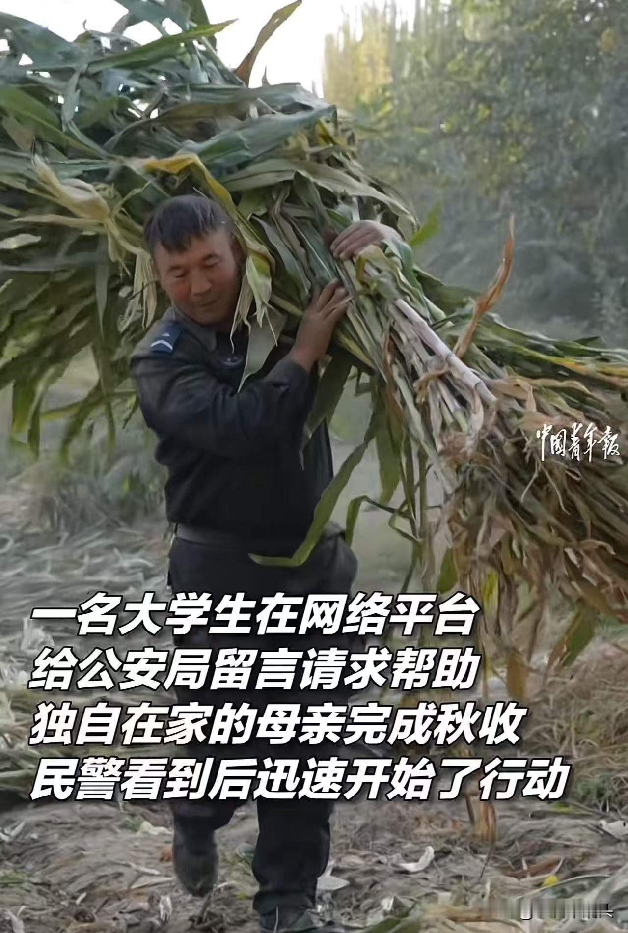 “这个派出所火到中国青年报！”大学生在外地上大学，担心母亲一人难以完成秋收，尝试