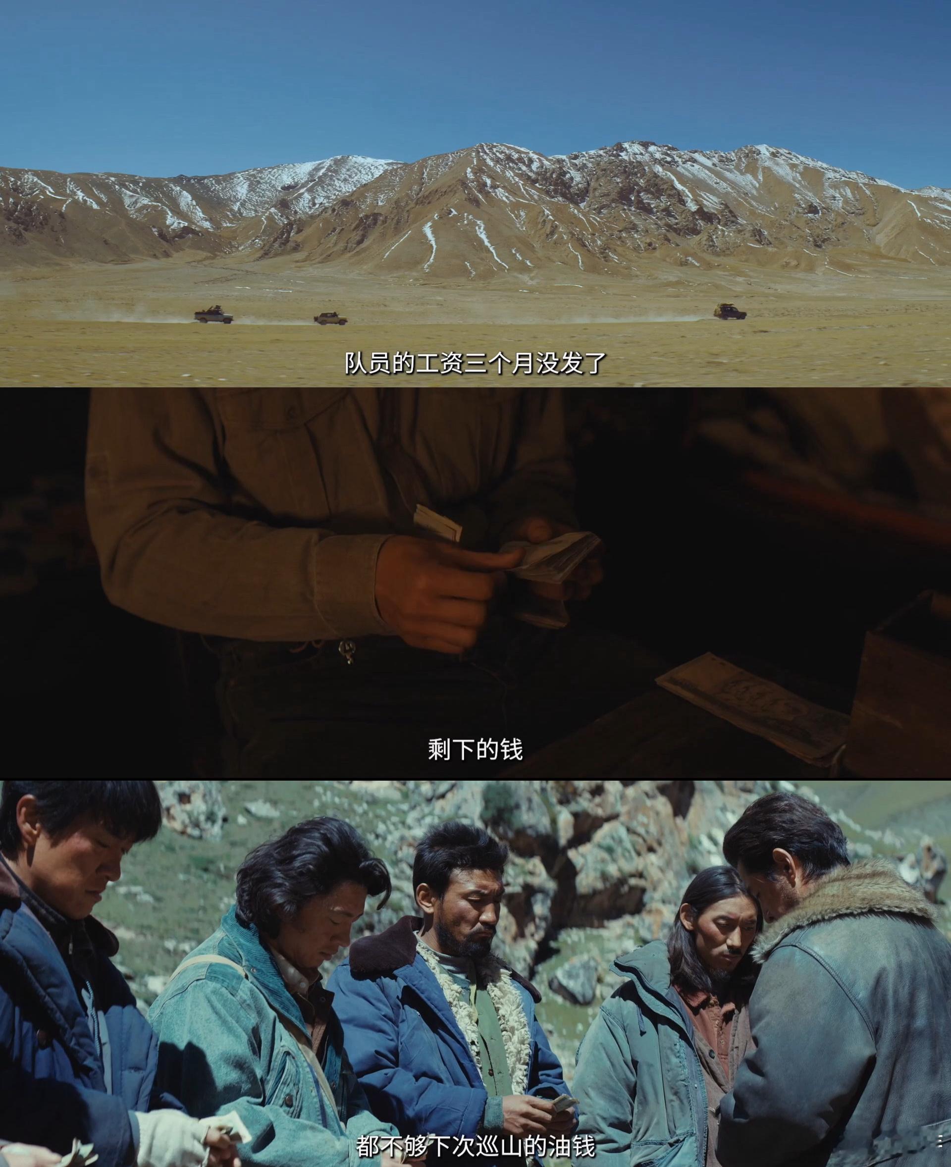 生命树 无人区的风很大，却吹不灭他们心里的光，这群平凡的巡山队员，在不为人知的地