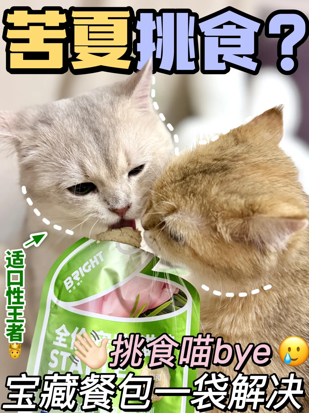 小猫咪第一次尝试❗️没想到就被迷住啦