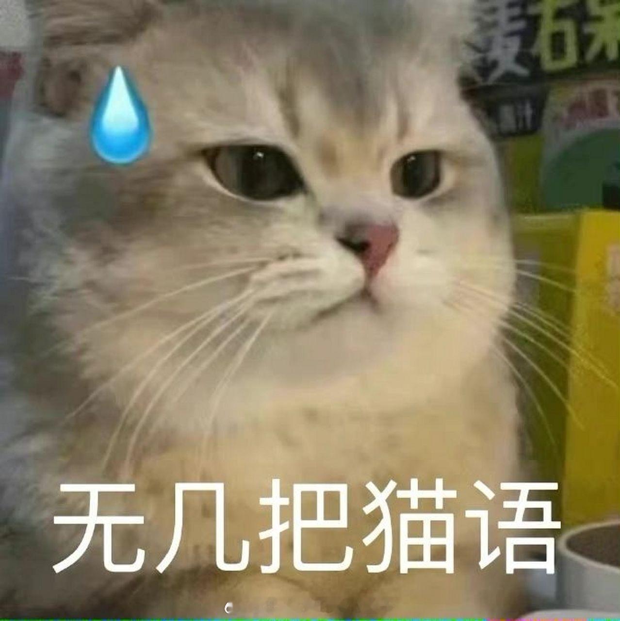 #阿沁称不排斥和詹雯婷合体#好的知道了 全世界就你一个不排斥 ​​​