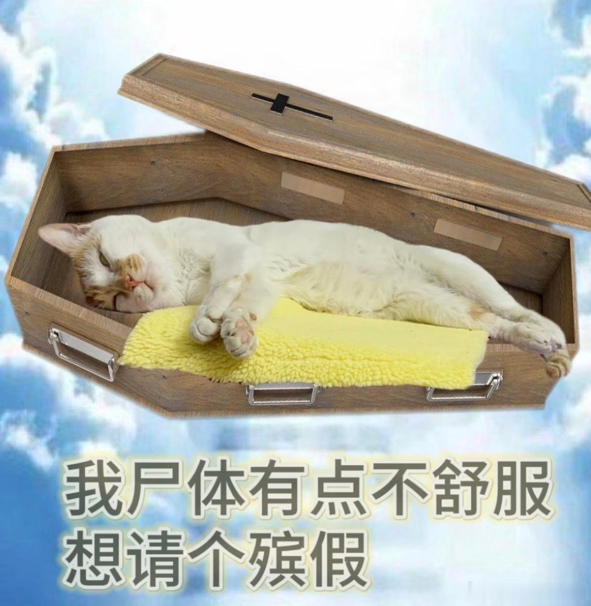 我一点也不期待2028年那些工作有挺多年假的可以囤着了，可以2028年7月份10