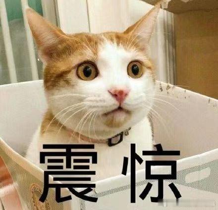 #被当代年轻人送礼拿捏了#感觉人到了就好吧，没什么好送的 ​​​