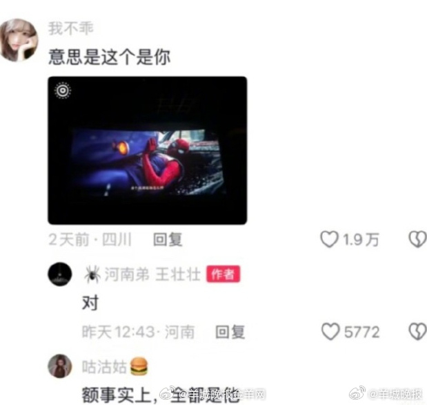 【媒体评：#别模糊了幕前与幕后的边界#】#荷兰弟的替身是河南弟#王壮壮原本可以靠