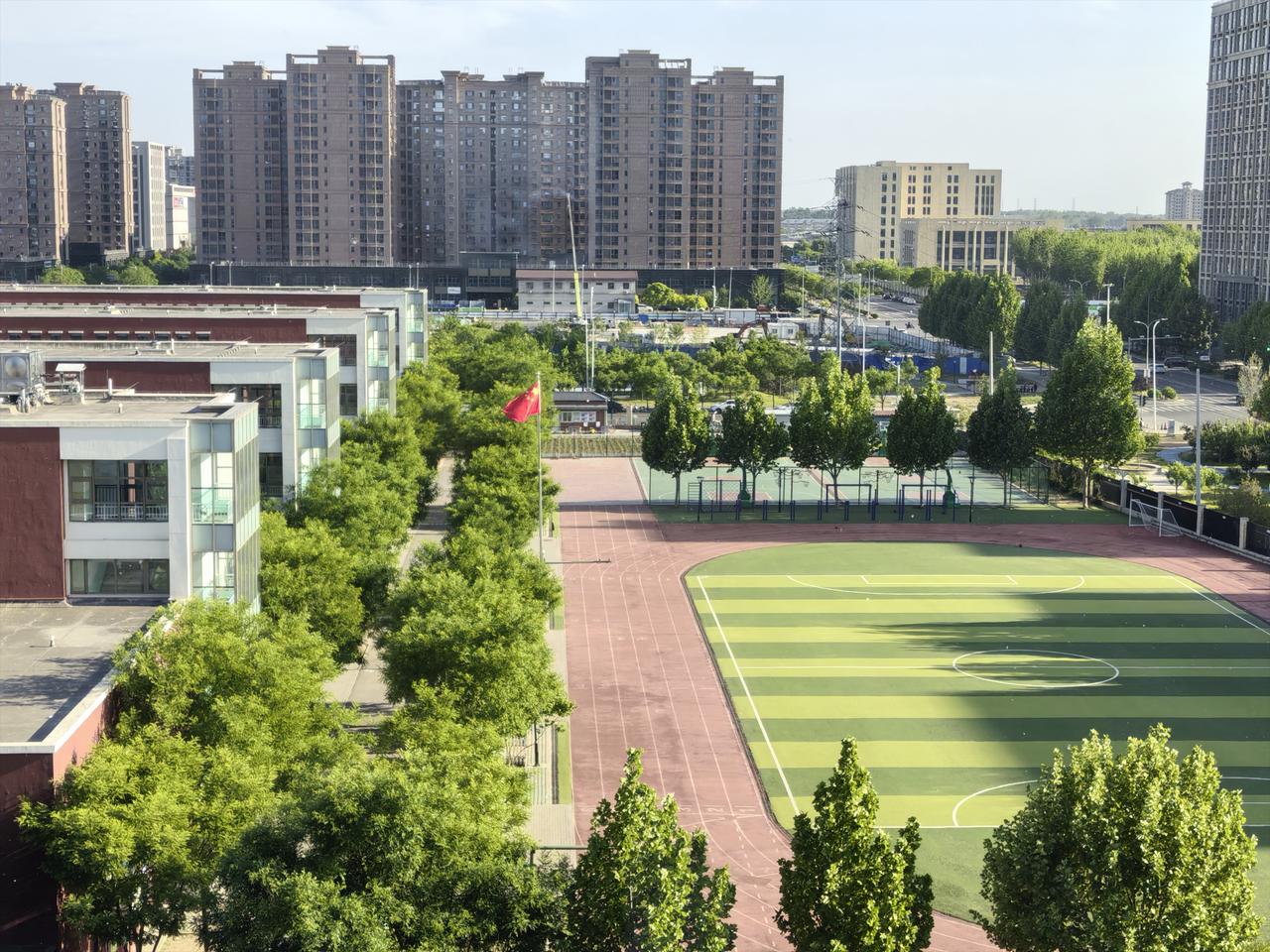 《杨柳絮及解析》
窗外柳絮在飞扬，忽高忽低没方向。
只因体轻心又空，随风而去乱心