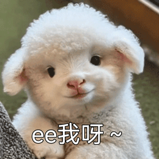 这个狩谎太刺激了，每日大咖盲盒（又名：每日扎嘿子一刀），大咖们会像线面一样在成毅
