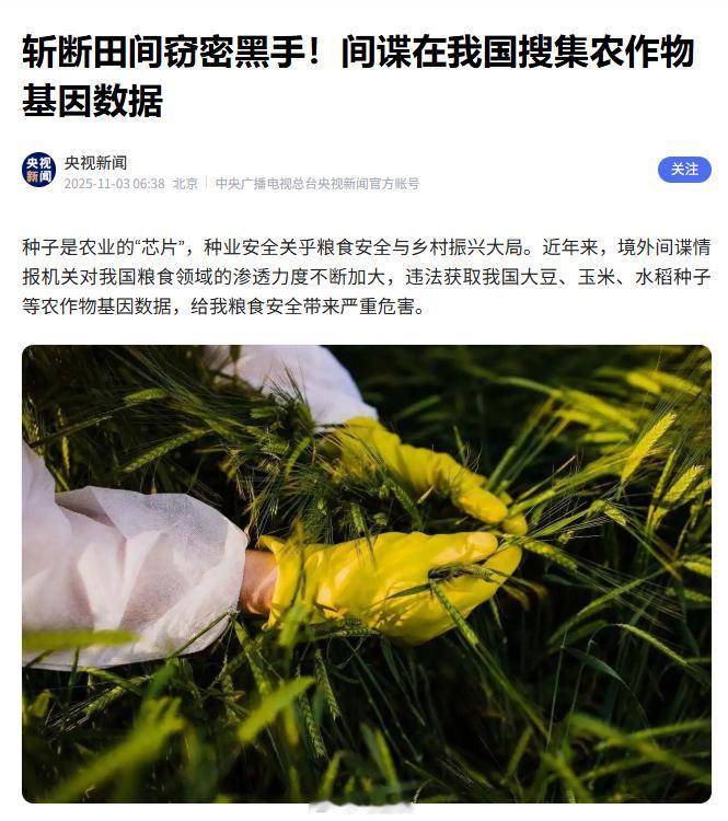 曝光！间谍在中国搜集亲本种子！违法获取我国大豆、玉米、水稻等亲本种子。亲本种子，