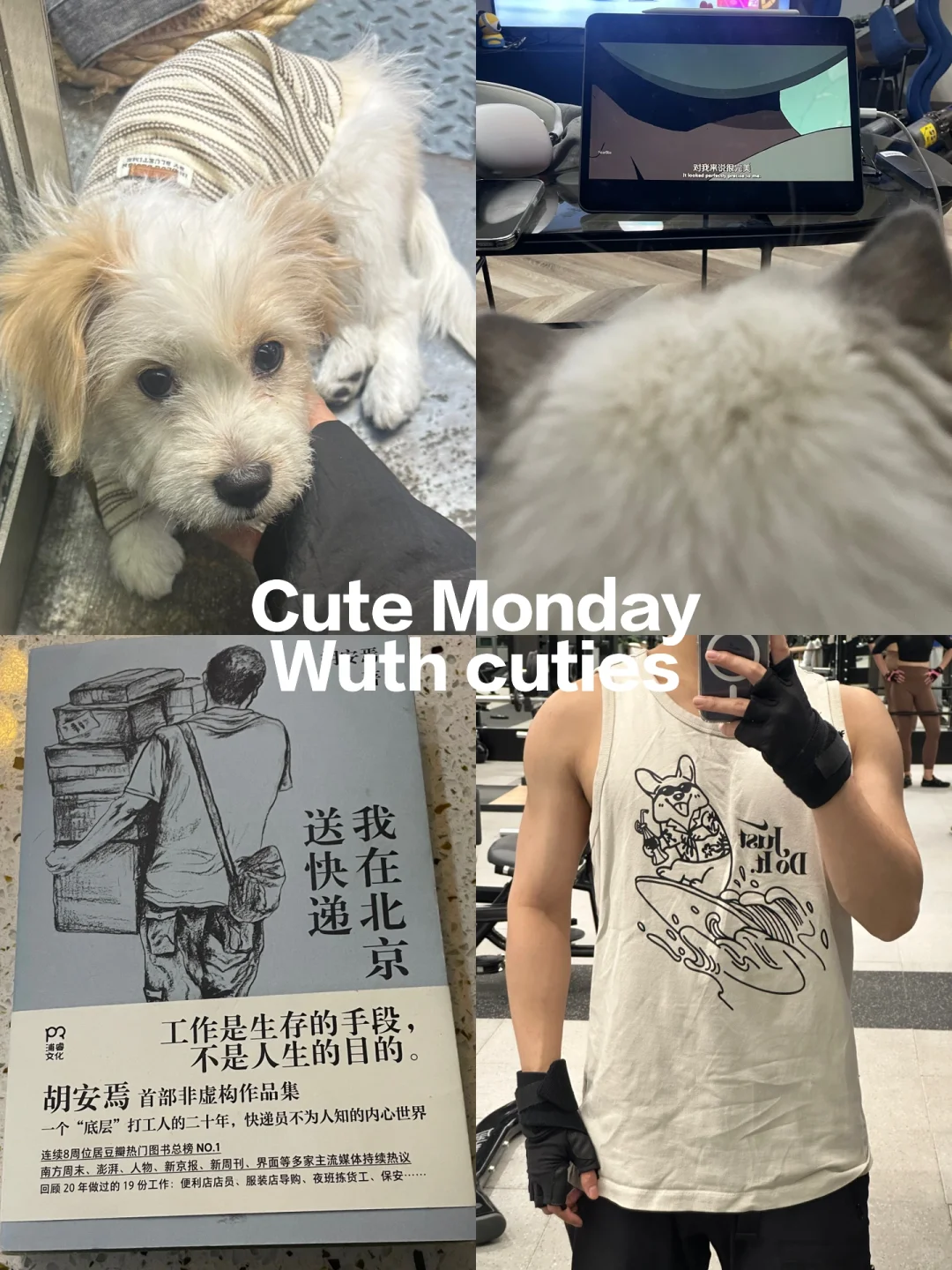 健身的铁男，喜欢可可爱爱的 🤳