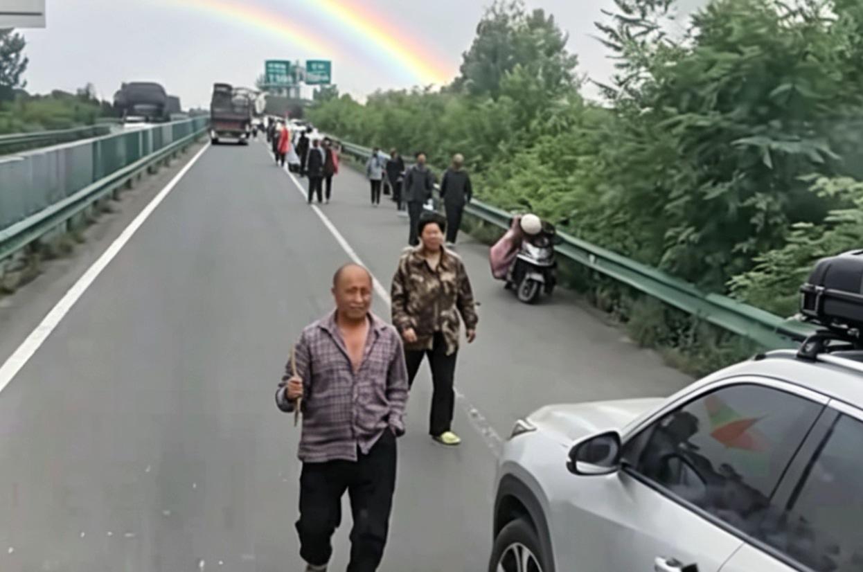 麦收闹的矛盾，究竟谁对谁错啊？
眼下襄阳麦收遇上糟心事，接连下雨导致大片小麦倒伏